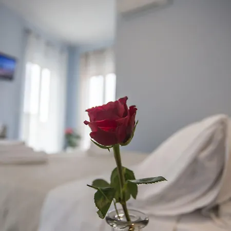 Magna Graecia 3* Тропея